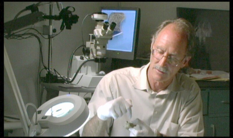 Die Stichwunde – Forensiker analysieren Jahre nach dem Tod von Elaine Graham ihr Skelett und finden eine Stichwunde. – Bild: RTL II