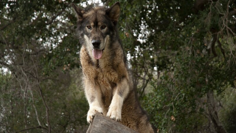 . – Bild: Silverline