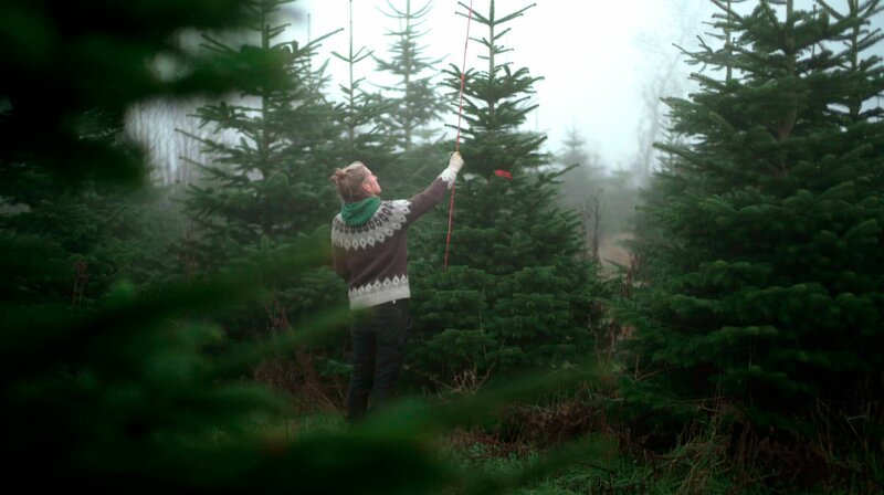 Sabrina Holzfuss vermisst Weihnachtsbäume auf dem Hof, den sie mit ihrer Familie leitet. – Bild: NDR/​Lutz Westphal