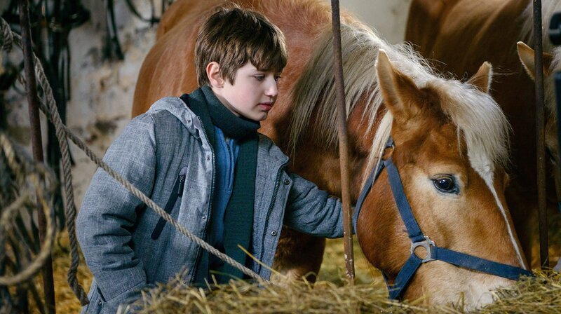 Horst Krause liest auf der winterlichen Landstraße ein Mädchen auf und bringt es zurück in das Kinderheim im Nachbarort. Damit setzt er eine Reihe von Ereignissen in Gang, die in der Adventszeit große und kleine Überraschungsgäste in den Landgasthof in Schönhorst spült. Paulas Sohn Timo freundet sich mit dem gleichaltrigen Samuel an. Doch dann taucht Samuels leibliche Mutter auf. – Timo (Cai Cohrs) ist bei den Pferden im Stall. – Bild: rbb/​Arnim Thomaß