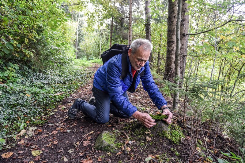 Esel, Ochs' und Kind - Weihnachtskrippen in Europa – Bild: ORF