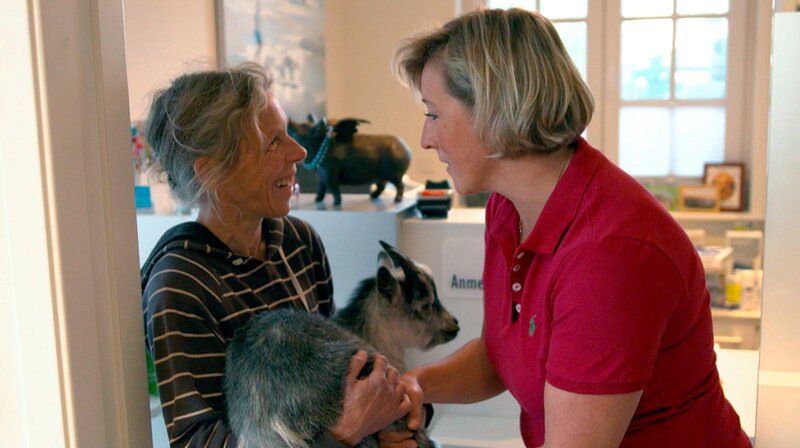 Die Sylterin Sabine Ketteler bringt Ziegenbock Nepumuk in die Praxis von Stephanie Petersen. – Bild: NDR/​Doclights GmbH