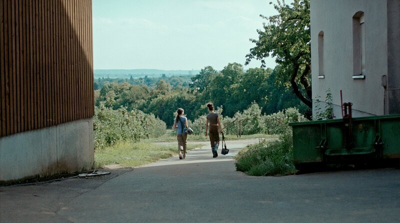 Luca entdeckt zum ersten Mal den benachbarten Obsthof. – Bild: SWR