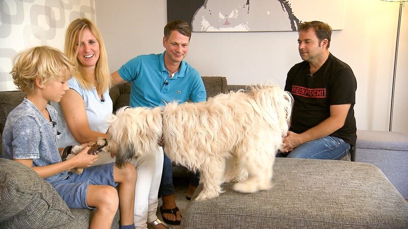 V.l.: Tilman, Dorothee, Tibet Terrier Boomer, Kai und Martin Rütter – Bild: TVNOW /​ Mina Tv
