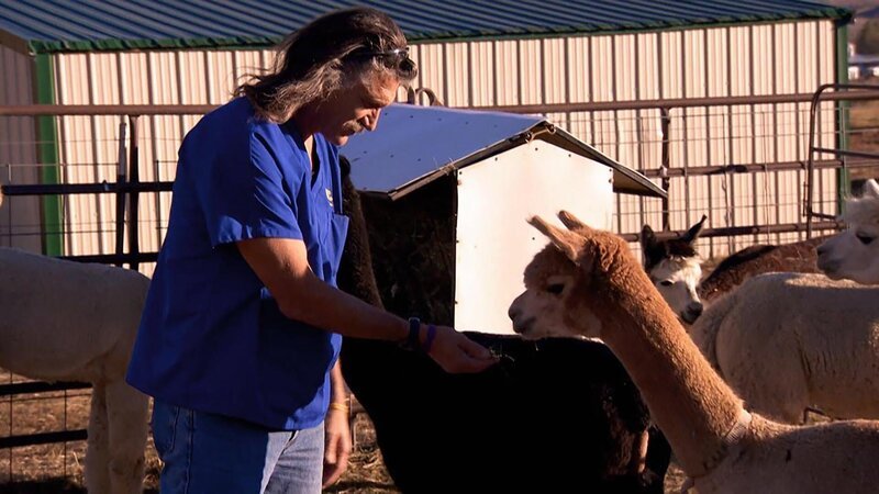 Dr. Jeff – Bild: TLC