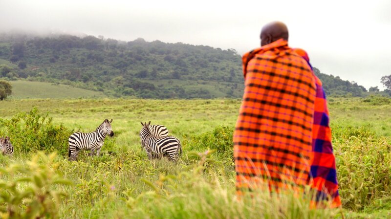 Mittlerweile leben 100.000 Massai in der Ngorongoro Conservation Area – ein Vielfaches der Bevölkerung zu Grzimeks Zeiten. – Bild: HR/​Other Minds