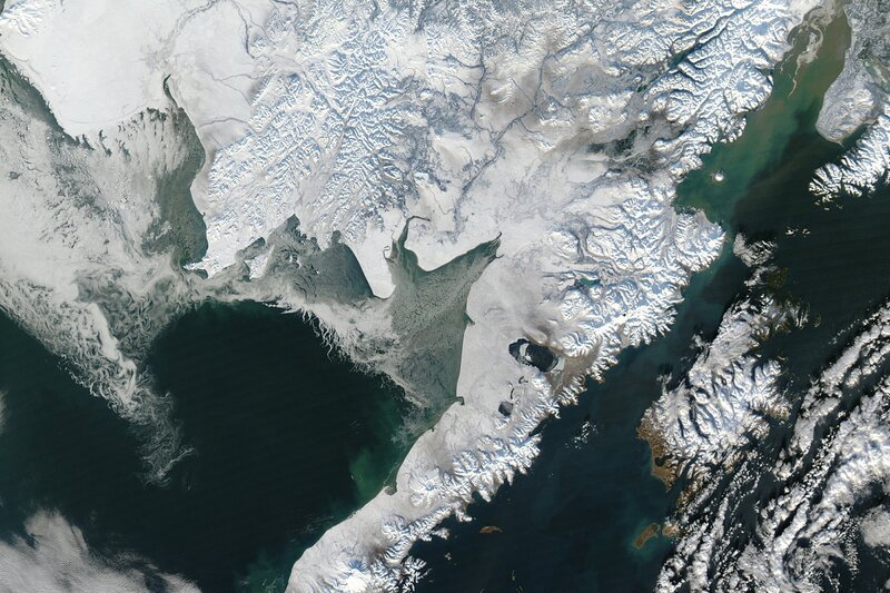 Viele der Lebensbedingungen auf den Kontinenten wurden von den Eiszeiten beeinflusst. – Bild: Pond5/​Vicfilm /​ ZDF