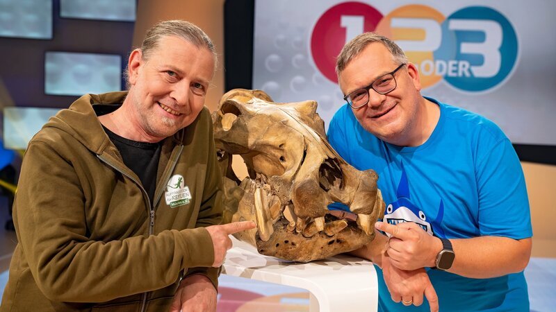 Tierarzt Dr. Markus Baur (l.) erklärt Elton (r.) heute die unterschiedlichen Zähne von Tieren. – Bild: ZDF und Ralf Wilschewski