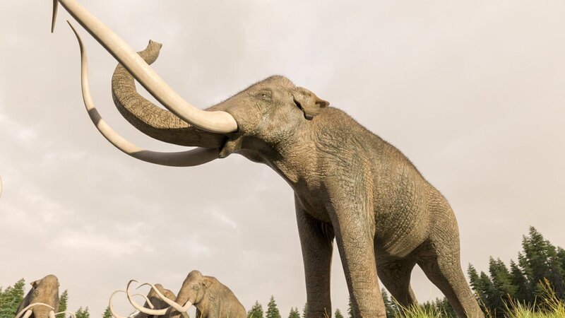 Mammut – Bild: RTL /​ © 2022 Windfall Films Ltd.