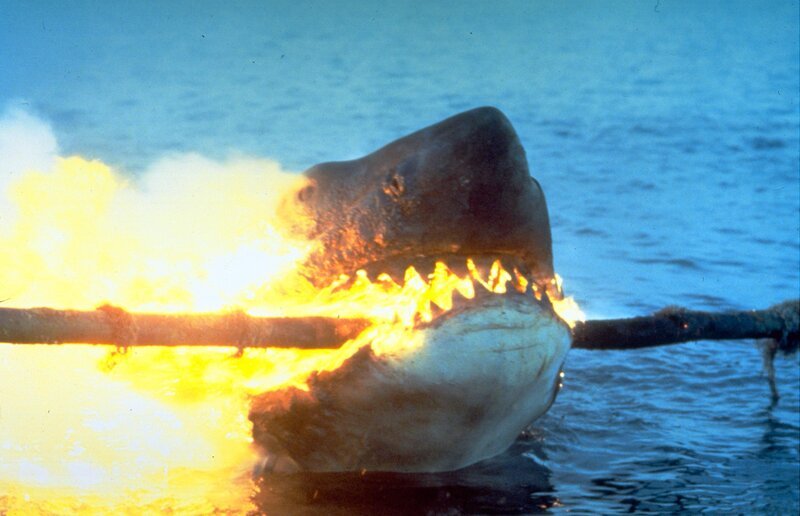 Nach vier Jahren Ruhe, kehrt der weiße Hai in den Küstenort Amity zurück, um weiter zumachen womit er aufgehört hat … – Bild: Warner TV Film