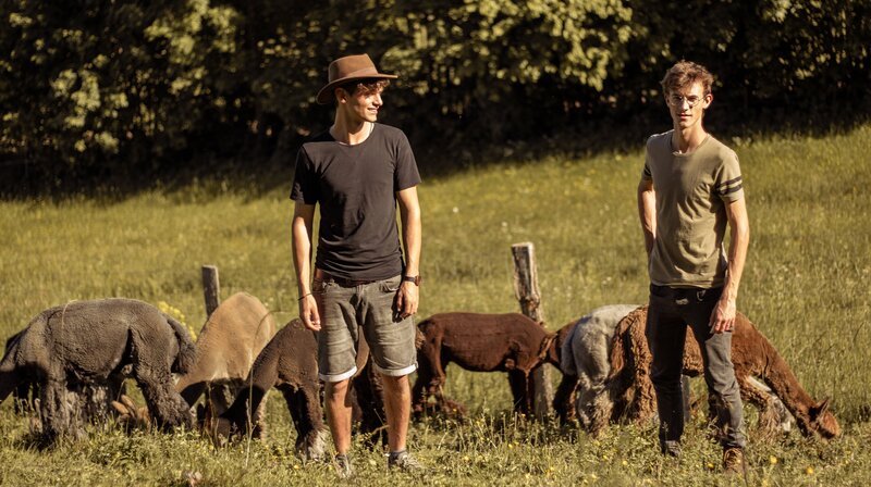 Die Alpaka Brüder Marc-Andrè Janz und Florian Janz. Weiteres Bildmaterial finden Sie unter www.br.foto.de. – Bild: BR/Niklas Wagenbrenner Die Alpaka Brüder Marc-Andrè Janz und Florian Janz. Weiteres Bildmaterial finden Sie unter www.br.foto.de. – Bild: BR/Niklas Wagenbrenner