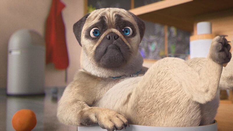 Bild: PLURIMEDIA (TeamTo)