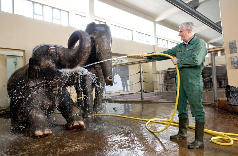 Paul (Sky du Mont) hat einen Job im Zoo ergattert. – Bild: ORF