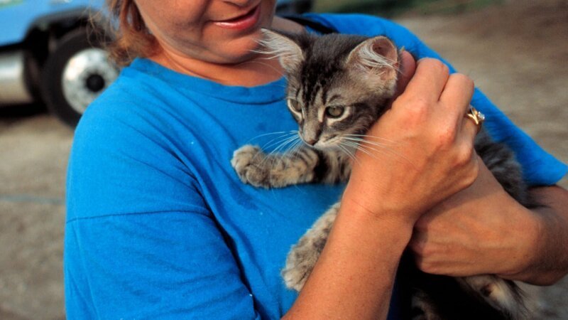 A woman holds a small gray kitten to her bosom while standing in front of the Animal Planet Rescue trailer. – Bild: Discovery Communications, LLC /​ Kevin T. Gilbert