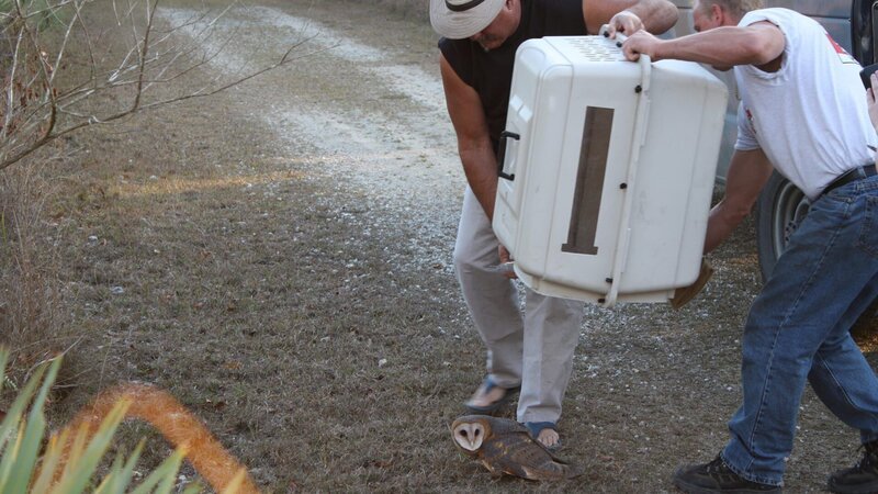 Bob and owls. – Bild: Discovery Communications, LLC