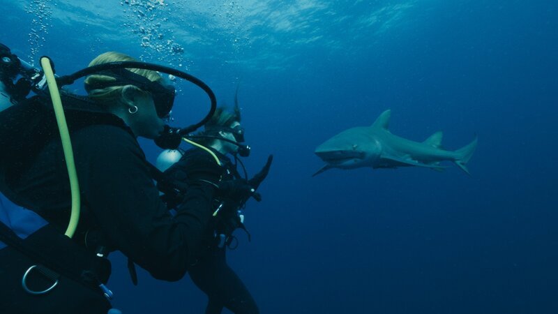 Bild: National Geographic