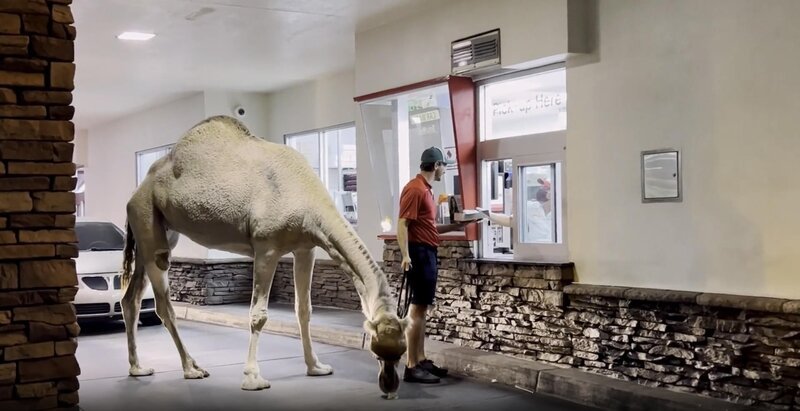 Bild: Licensed by Fred Media Pty Ltd