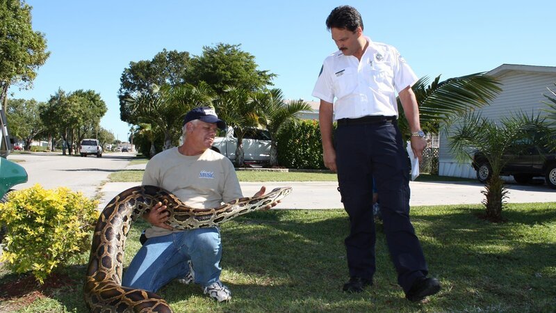 Luis and Saaveda with the snake. – Bild: TLC (DEUT)