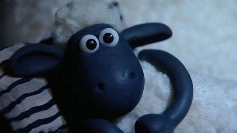 Schreck in der Nacht. Wer macht hier solchen Krach? Shaun kann nicht mehr schlafen. – Bild: WDR/​Aardman Animation Ltd./​BBC
