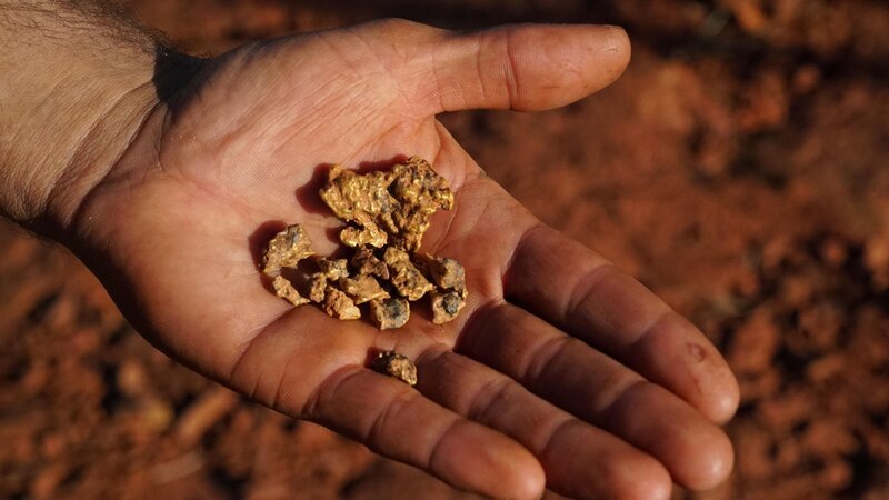 Bild: Electric Pictures Pty Ltd