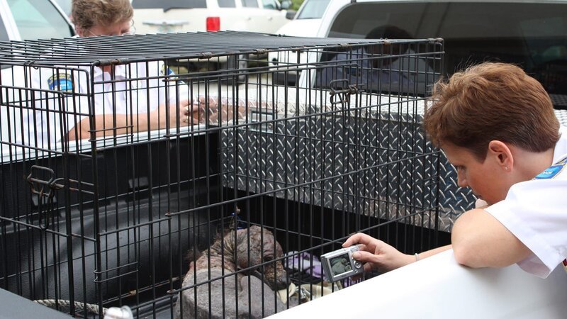 Kathy and Lisa with a desperate dog. – Bild: Discovery Communications, LLC