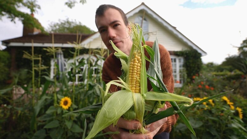 Alex Smith – Bild: RTL /​ Spun Gold & All3Media International /​ Wasserspiele