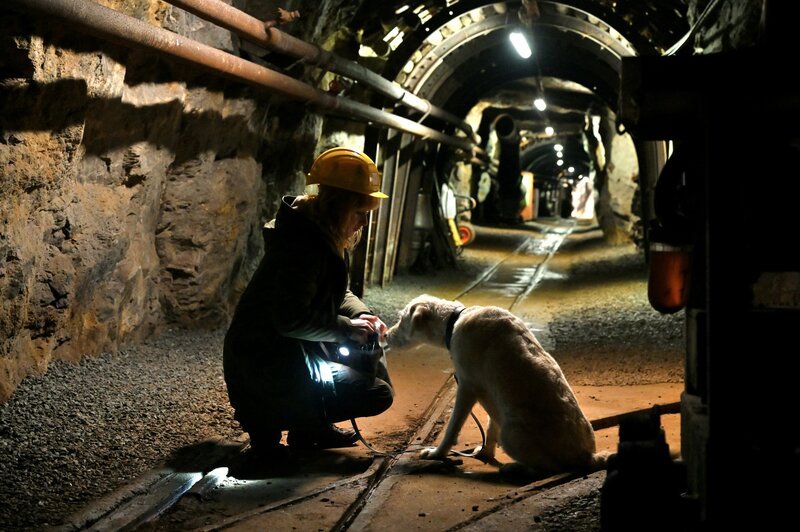 Saskia (Teresa Weißbach) und Hund Wolke auf Spurensuche im Stollen. – Bild: Hardy Spitz /​ ZDF Enterprises GmbH