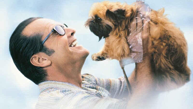 Melvin Udall (Jack Nicholson) und das Hündchen Verdell sind im siebten Himmel. – Bild: ZDF und ARD Degeto/TriStar Pictures, inc. Melvin Udall (Jack Nicholson) und das Hündchen Verdell sind im siebten Himmel. – Bild: ZDF und ARD Degeto/TriStar Pictures, inc.