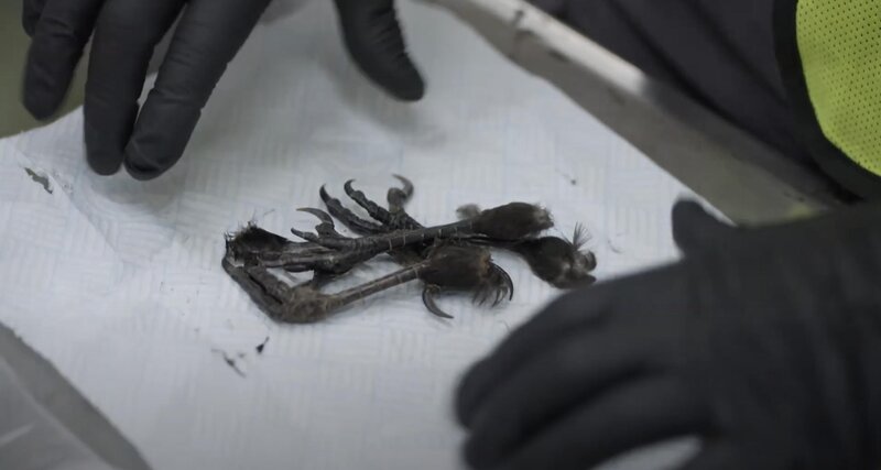 Bild: Seven Network (Operations) Limited