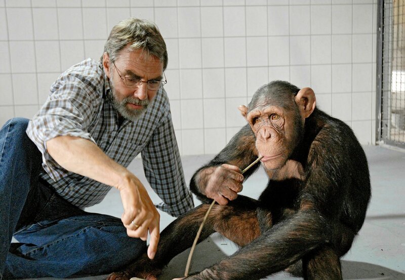 Prof. Baumgart (Gunter Schoß) versucht dem in menschlicher Obhut aufgewachsenen Schimpansen Ringo tierisches Verhalten beizubringen. – Bild: Christa Köfer