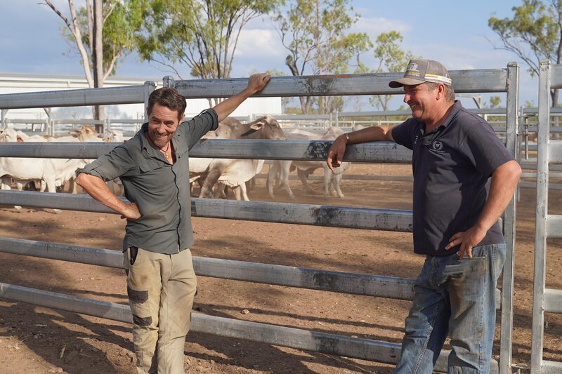 Bild: Electric Pictures Pty Ltd