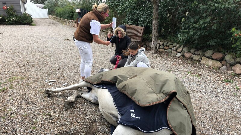 Ein Kreislaufkollaps zwingt Airoso zu Boden. Stephanie Petersen lässt in der Praxis alles stehen und liegen, um dem Notfall-Patienten wieder auf die Beine zu helfen. – Bild: NDR/​Doclights GmbH 2020