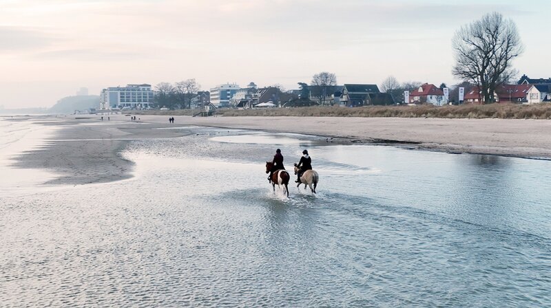 Strandreiten am Ostseestrand in Lübecker Bucht bei Scharbeutz – Bild: NDR/​Sven Rieken