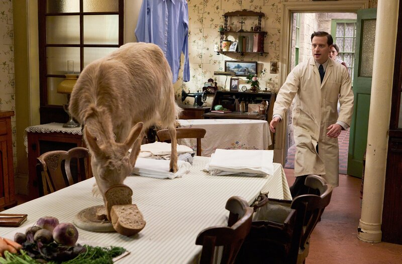 James Herriot (Nicholas Ralph) – Bild: WDR/​Playground & All3Media International