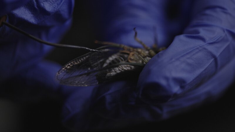 Bild: zdf /​ THE HISTORY CHANNEL /​ Christoph Valentien