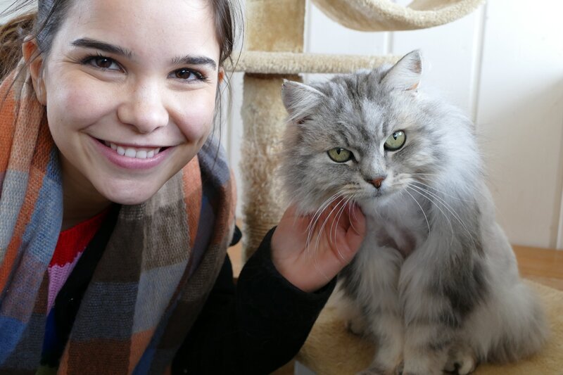 Tierheimkatze Sheila hat schon ein neues Zuhause gefunden. Weiteres Bildmaterial finden Sie unter www.br-foto.de. – Bild: TEXT + BILD Medienproduktion GmbH & Co. KG