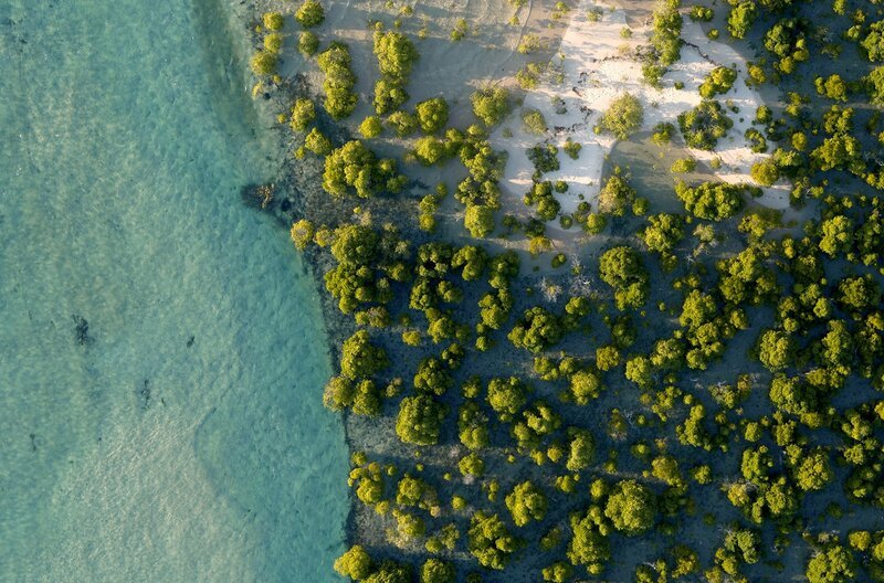 Die Inseln sind der perfekte Ort für einen Meeresschutzpark. Die Unterwasserwelt bietet Lebensraum für unzählige Meeresbewohner. – Bild: Kevin MacLaughlin/​Hardus Vermaak