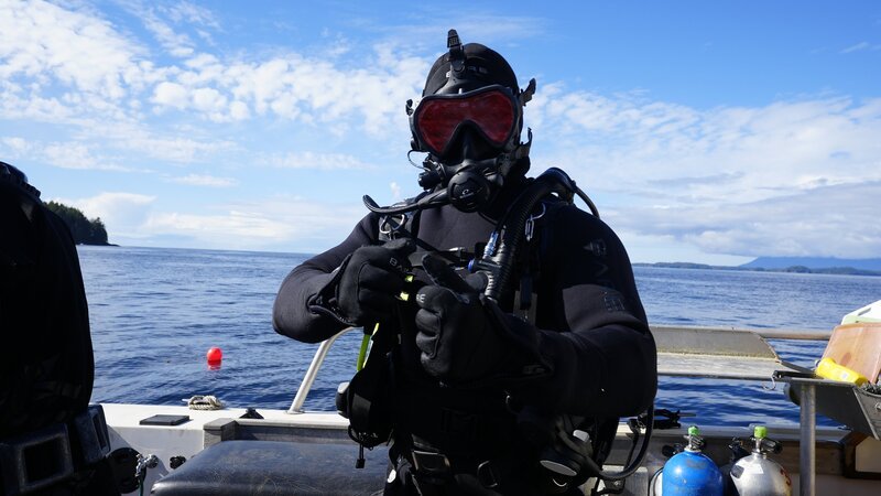 Bild: Great Pacific Media Lizenzbild frei