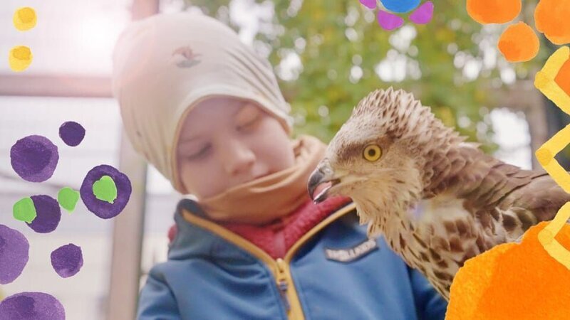 Jonas hat keine Angst vor großen Vögeln, hier hilft er bei der Fütterung von einem Wespenbussard. – Bild: KiKA/​Bernadette Hauke und Familie Herzog/​Rothe