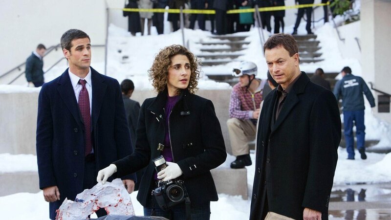Von links: Detective Don Flack (Eddie Cahill), Detective Stella Bonasera (Melina Kanakaredes) und Detective Mac Taylor (Gary Sinise) sind zu einem Ort gerufen worden, an dem eine zerstückelte Leiche gefunden wurde. – Bild: TVNOW /​ CBS