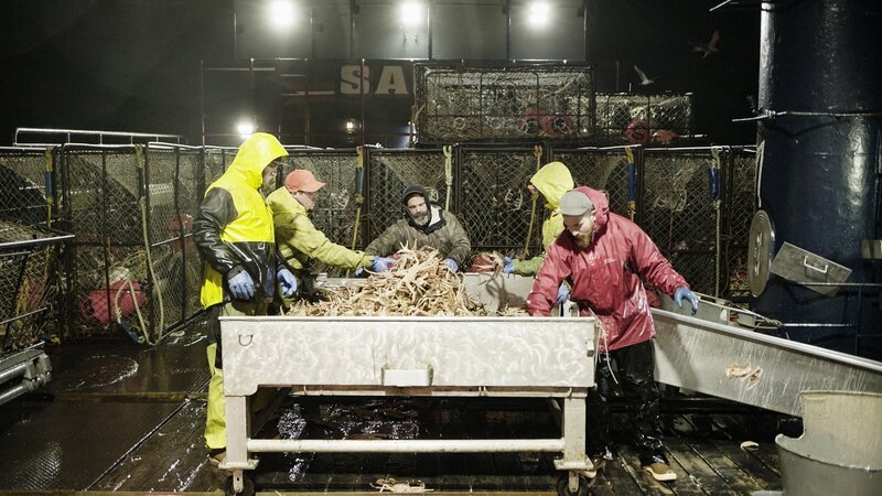 The Saga crew at the table counting opies. – Bild: Shane Moore /​ Discovery Channel /​ Discovery Communications, LLC