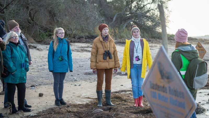 Abseits vom Polizeialltag nehmen die beiden Kolleginnen Dr. Helene Sturbeck (Katharina Blaschke, M.) und Stine Bergendal (Sidsel Hindhede, 2.v.r.) an einer Tour über Kegelrobben in Wismar am Strand teil. Tierschützerin Jenny Hansen (Christin Nichols, r.) erklärt der Gruppe den richtigen und tiergerechten Umgang mit den neuangesiedelten Kegelrobben an der Ostsee. – Bild: ZDF /​ Meyerbroeker