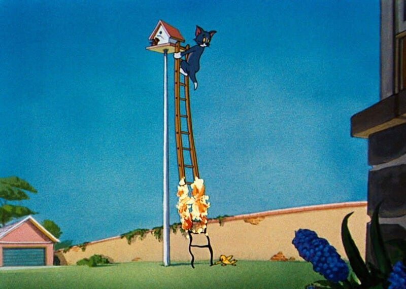 Mit Hilfe einer Leiter will Tom das Vogelnest plündern, doch plötzlich fängt diese Feuer. – Bild: SUPER RTL