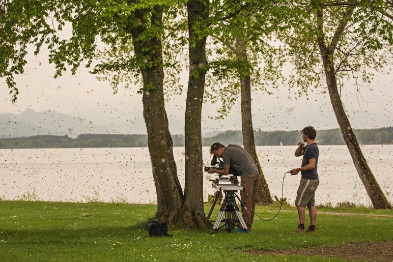 Beim Dreh der Eintagsfliegen. – Bild: BR/​A. Hartl