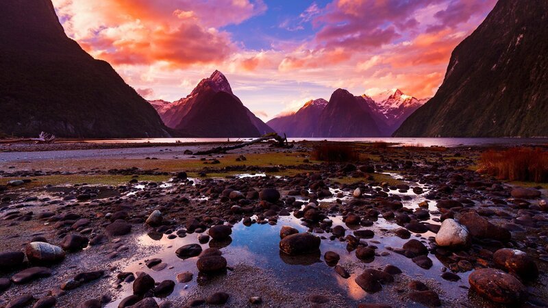 Der Milford Sound ist eine von Neuseelands berühmtesten Naturikonen. – Bild: SRF/​Doclights NDR Naturfilm & BBC/​Tom Walker