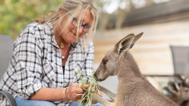 Theresa sitting down feeding a kangaroo. – Bild: David Clawson /​ Animal Planet /​ Photobank;36506_ep205_032.jpg /​ Discovery Communications, LLC