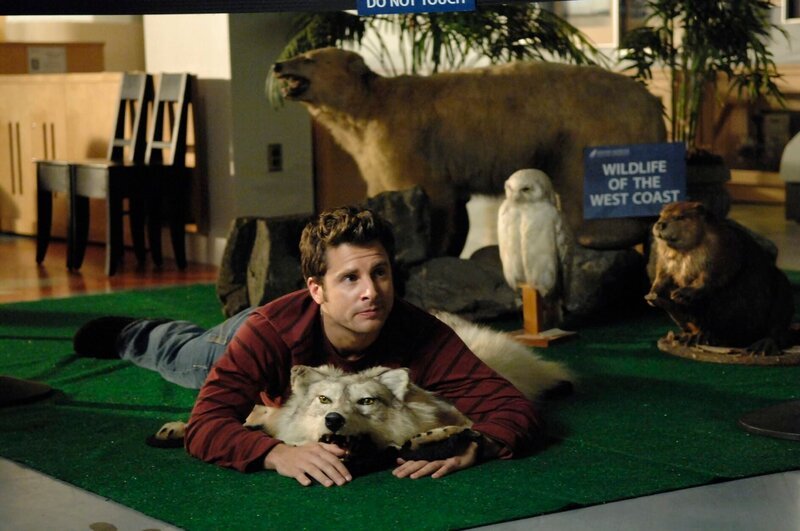 PSYCH -- „Shawn (& Gus) of the Dead“ -- Pictured: James Roday as Shawn Spencer -- USA Network Photo: Alan Zenuk – Bild: USA Network /​ UNIVERSAL CHANNEL /​ Alan Zenuk