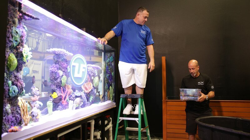 The guys put fish inside Urijah’s tank. – Bild: Animal Planet /​ Discovery Communications