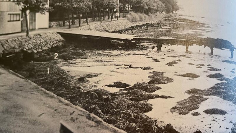 In Farborg in Dänemark wird ein Toter an der Uferpromenade gefunden. Sein Genitalbereich wurde verstümmelt. – Bild: ZDF und Polizei Dänemark