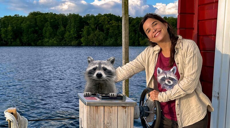 BAYERISCHER RUNDFUNK Anna im Land der tausend Seen Key Visual/​Cover Sendereihenbild ohne Typo zu „Anna im Land der tausend Seen“. Anna auf ihrem Hausboot im Land der tausend Seen zusammen mit einem Waschbären (Waschbär aus dem Tierpark Kunsterspring). – Bild: BR/​Text und Bild Medienproduktion GmbH & Co. KG/​stock.adobe.com/​Michelle Gruber/​David/​Montage: BR